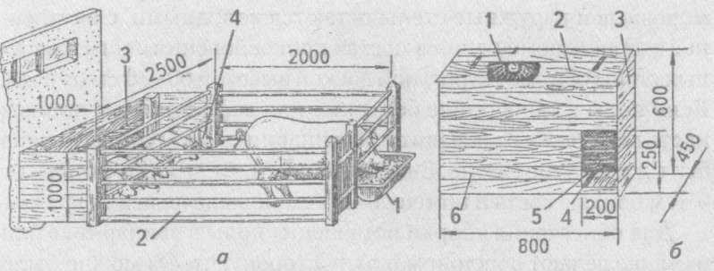 Проектирование и строительство свинарника своими руками