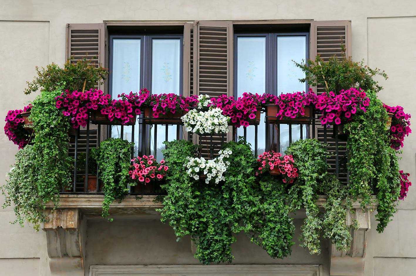 Цветы В Длинных Горшках На Балконе