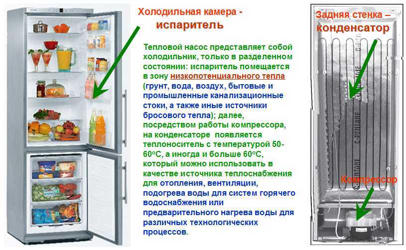 Можно ли холодильник на морозе