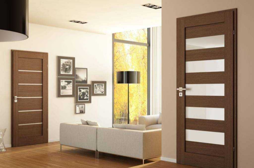 Межкомнатные двери в интерьере квартиры: дизайн, фото, стили, цвет