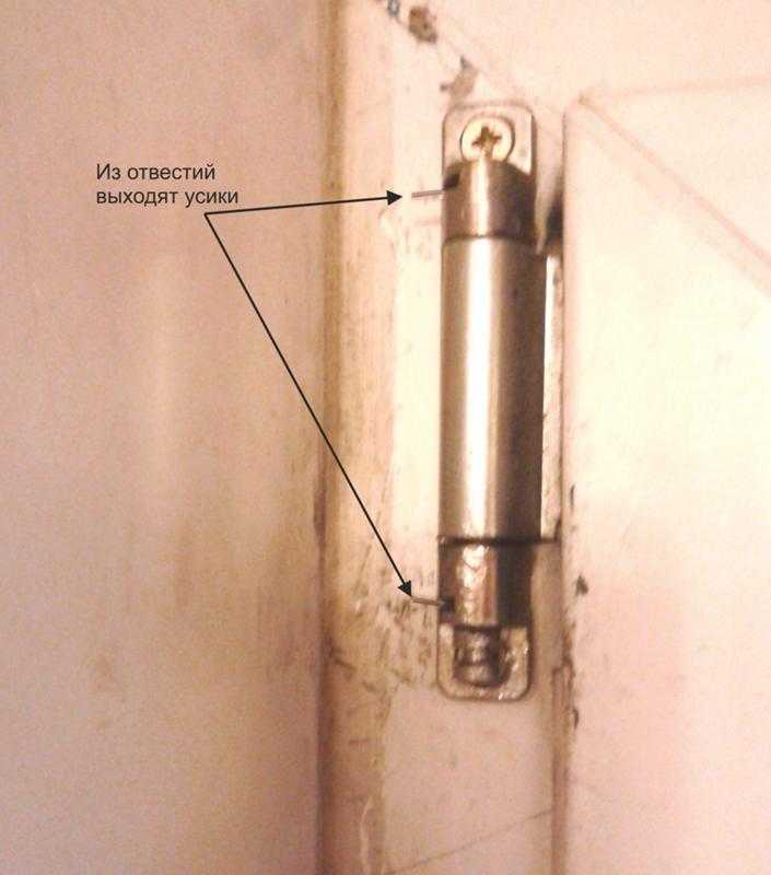Снятие различных типов дверей с петлей. как снять балконную дверь как снять крышку с петли пластиковой двери